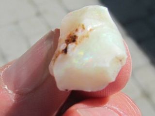 Rare/scarce Pc.  Mexican Opal Rough With Fire 14.  5 Cts.