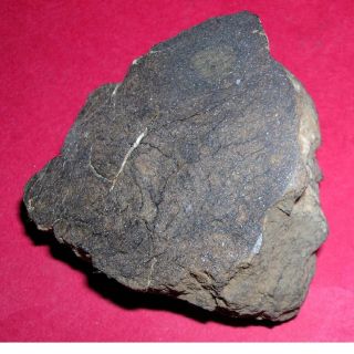 Al Haggounia 001 Meteorite: 92.  5 Gram Polished End Cut