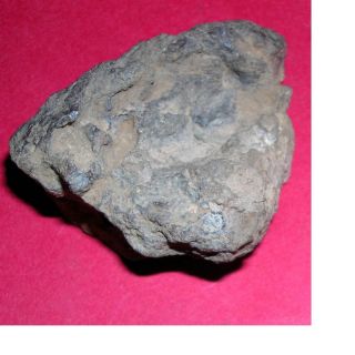 Al Haggounia 001 meteorite: 92.  5 gram polished end cut 3
