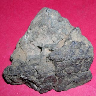 Al Haggounia 001 meteorite: 92.  5 gram polished end cut 4
