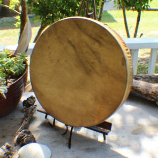 14 " Native American Buffalo Hide Hand Drum Cherokee Made William Lattie Cert Aut
