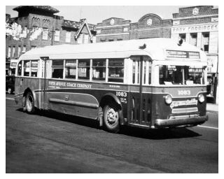 Fifth Avenue Coach Co (ny) 8 X 10 Bus Photo 1083