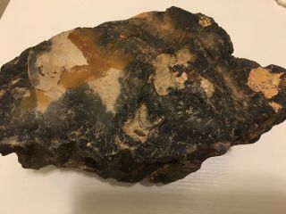 Large Piece Of Petrified Wood Over 7 Lbs Stripes Natural Unpolished