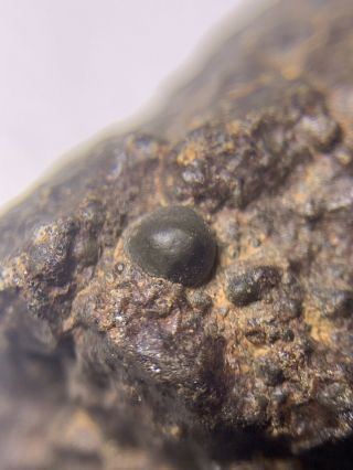 Meteorite Nwa,  Unclassified 67.  29 Grams W/3d Chondrules Rare