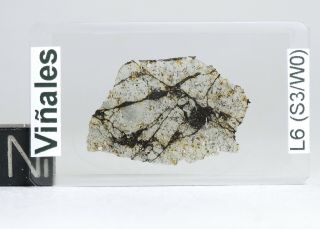 Meteorite Viñales Vinales - L6 Chondrite Fall Cuba - Thin Section Low Quality