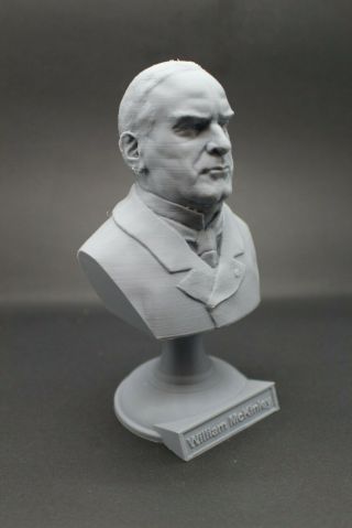 William Mckinley 5 Inch 3d Printed Bust Usa President 25 Art