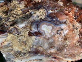 Crazy Lace Agate Rough 4lbs 10oz Slab Jasper Banded Mexico Old Stock Red 2