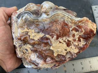 Crazy Lace Agate Rough 4lbs 10oz Slab Jasper Banded Mexico Old Stock Red 4