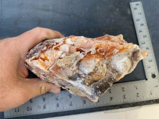 Crazy Lace Agate Rough 4lbs 10oz Slab Jasper Banded Mexico Old Stock Red 5