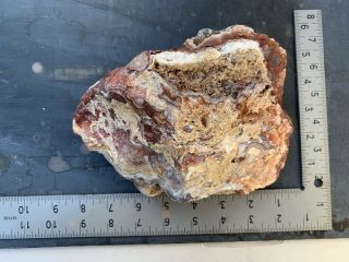 Crazy Lace Agate Rough 4lbs 10oz Slab Jasper Banded Mexico Old Stock Red 7