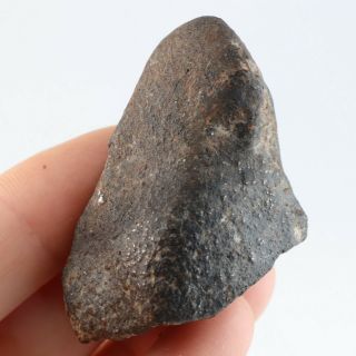 40g Nwa 869 Brecciated Chondrite Meteorite A2894
