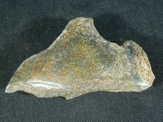 A Polished Jurassic Era Agatized Dinosaur Gem Bone Fossil From Utah 253gr e 5