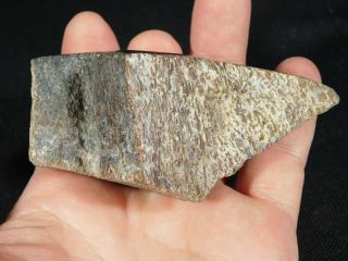 A Polished Jurassic Agatized Dinosaur Gem Bone Fossil From Utah 219gr e 5