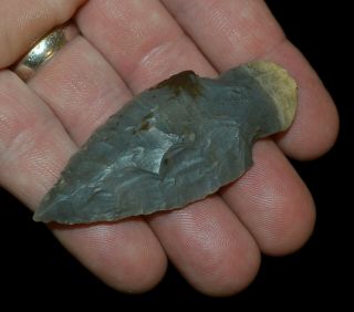 TURKEY TAIL KENTUCKY AUTHENTIC INDIAN ARROWHEAD ARTIFACT COLLECTIBLE RELIC 3