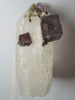 Fluorite On Quartz Crystal,  Yaogangxian Mine,  China