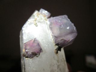 Fluorite on quartz crystal,  Yaogangxian Mine,  China 4