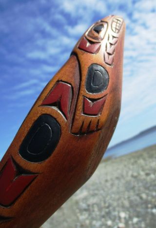 Northwest Coast First Nations native wooden art carved Sea Lion potlatch bowl 7