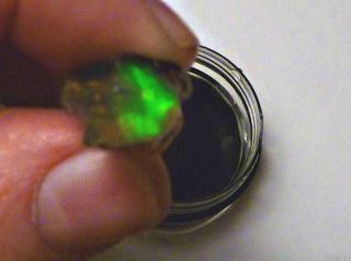 14.  7cts Virgin Valley Black Precious Opal Petrified Wood Nevada 16mm