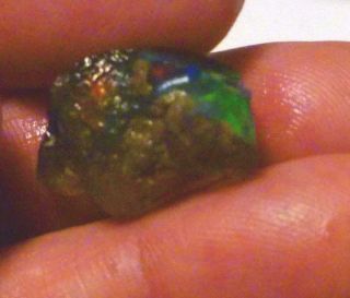 14.  7cts Virgin Valley BLACK Precious Opal Petrified Wood Nevada 16mm 6