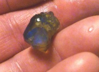 14.  7cts Virgin Valley BLACK Precious Opal Petrified Wood Nevada 16mm 7