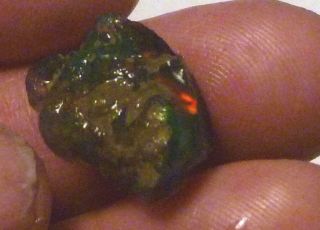 14.  7cts Virgin Valley BLACK Precious Opal Petrified Wood Nevada 16mm 8