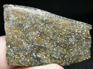Zag Official Meteorite - H3 - 6 Chondrite - Zag - 0301 - 16.  69g W/coa - Part Slice
