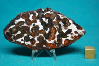 Sericho Pallasite Meteorite 86.  1 Grams