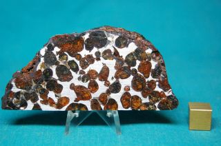 Sericho Pallasite Meteorite 65.  8 Grams