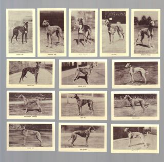 Cigarette Cards.  B.  Morris Tobacco.  Racing Greyhounds.  (1939).  (full Set Of 25).
