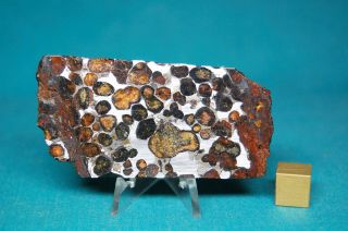 Sericho Pallasite Meteorite 70.  6 Grams