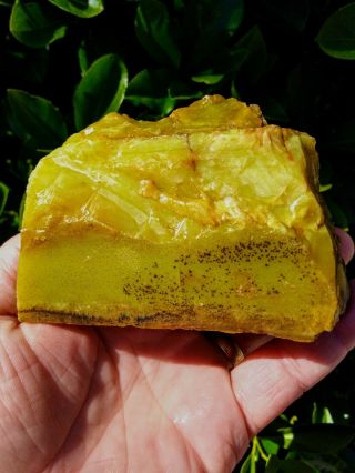 Huge Very Rare Lime Apple Green Stable Opal Chunk Northern Nevada Honey Vein 1lb