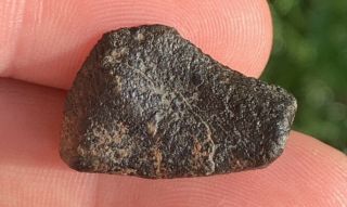 2 Unclassified NWA Meteorite End Cuts 2.  14 & 2.  18 Grams “Possible L3” 2