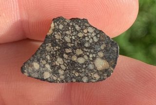 2 Unclassified NWA Meteorite End Cuts 2.  14 & 2.  18 Grams “Possible L3” 3