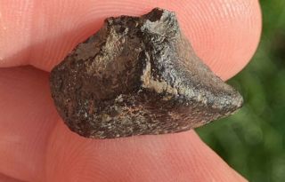 2 Unclassified NWA Meteorite End Cuts 2.  14 & 2.  18 Grams “Possible L3” 4