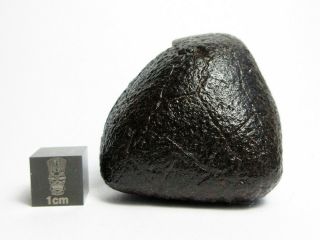 Nwa X Meteorite 63.  04g Remarkable Rock From Space