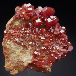 Vanadinite - Lustrous Crystals On Matrix - Morocco /ai860