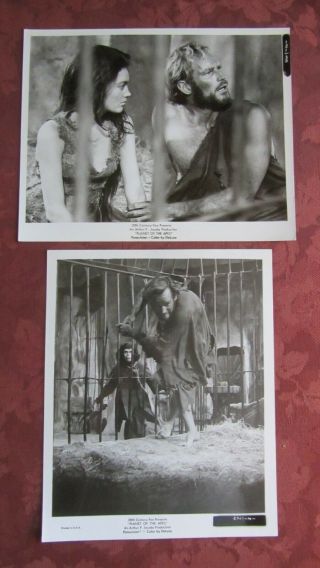 Planet Of The Apes - (1968) - 2 B/w 8x10 Stills (caged Chuck)