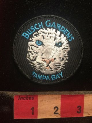 Snow Leopard Busch Gardens Tampa Bay Florida Theme Park Patch 81v7