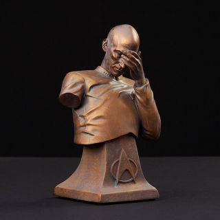 Star Trek Tng Captain Picard Facepalm Bust Statue Bronze Resin Edition In Hand