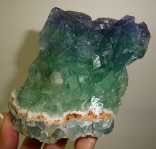 Fluorite Crystal Purple Blue Natural 2 Lb 1oz Dino