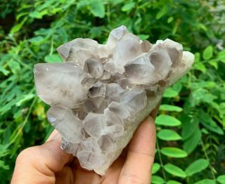 Smoky Quartz Crystal Cluster | Diamond Hill Mine | South Carolina