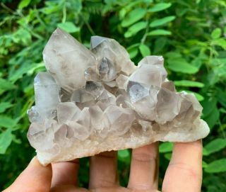 Smoky Quartz Crystal Cluster | Diamond Hill Mine | South Carolina 4