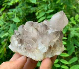 Smoky Quartz Crystal Cluster | Diamond Hill Mine | South Carolina 6