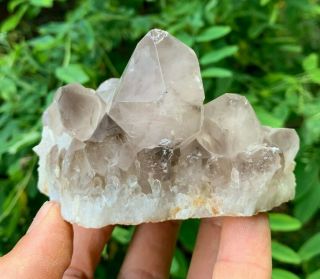 Smoky Quartz Crystal Cluster | Diamond Hill Mine | South Carolina 7