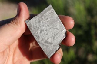 Muonionalusta Meteorite Etched Part Slice 33.  2 Grams