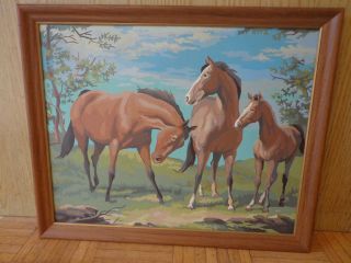 Vintage Paint By Numbers Three Playing Horses Scene 21 By 17 Pbn Framed