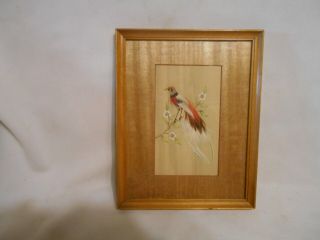 Vintage Mexican Folk Art Feathered Bird Picture Framed