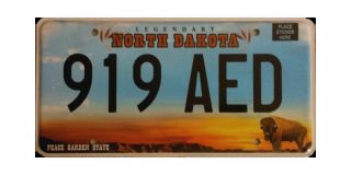Real North Dakota License Plate Buffalo Graphic Auto Number Car Tag Nd Lqqk