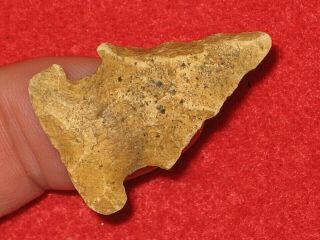 Authentic Native American Artifact Arrowhead Florida Bolen Beveled Point R2