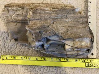 15 Lb Petrified Wood Log Fossil With Rock Crystal Quartz Please Read Details